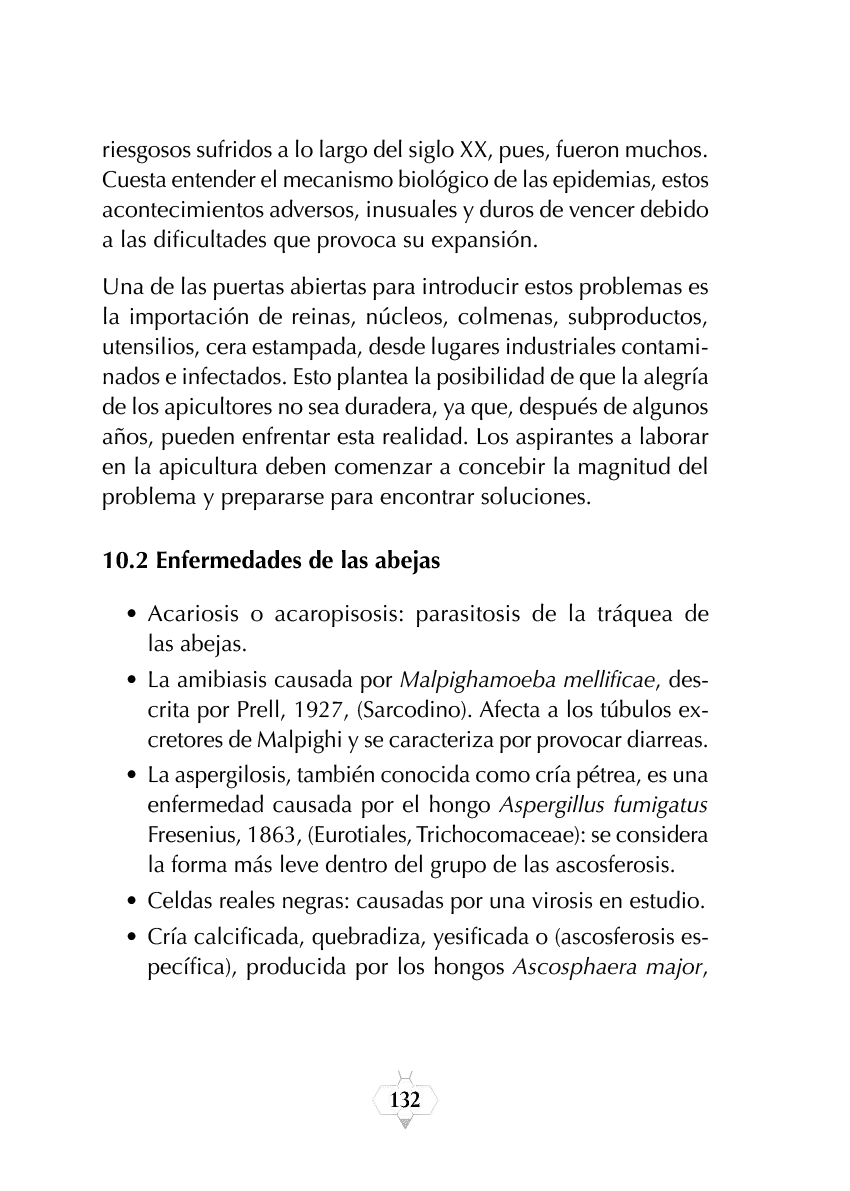 Rectangle