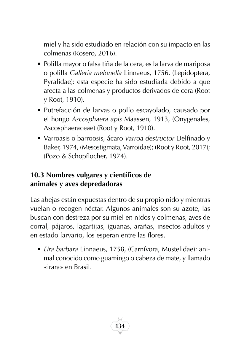 Rectangle