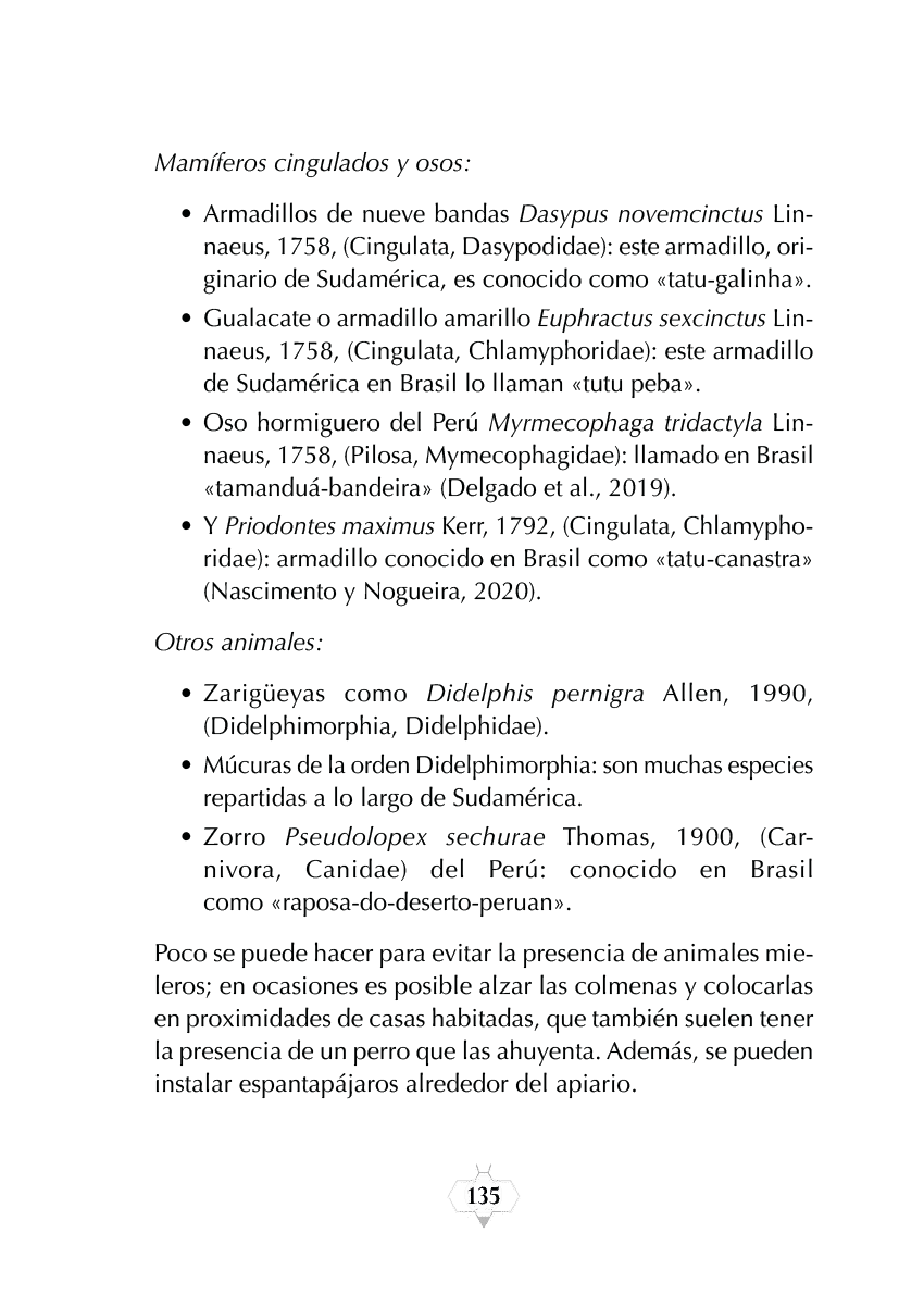 Rectangle