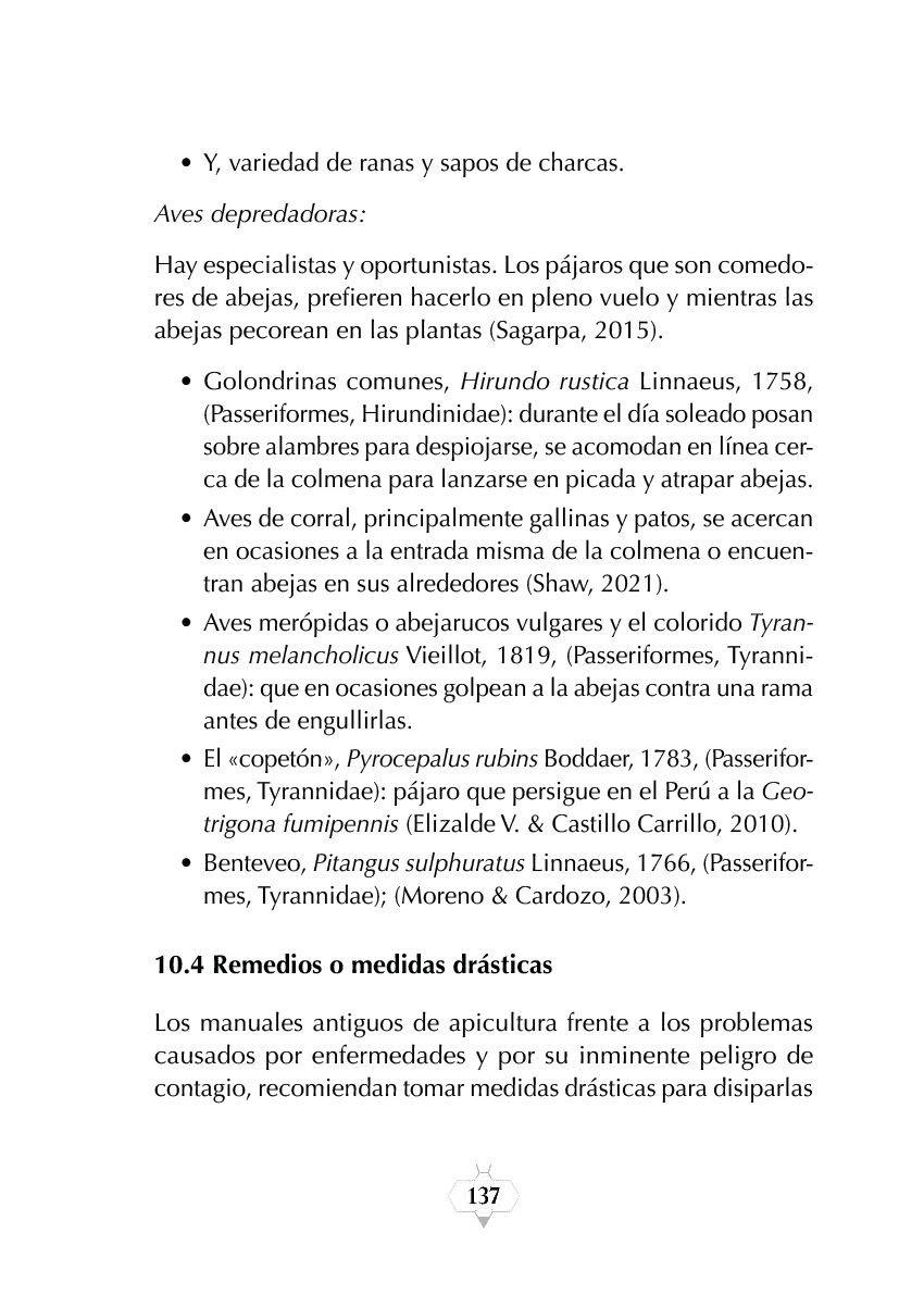 Rectangle