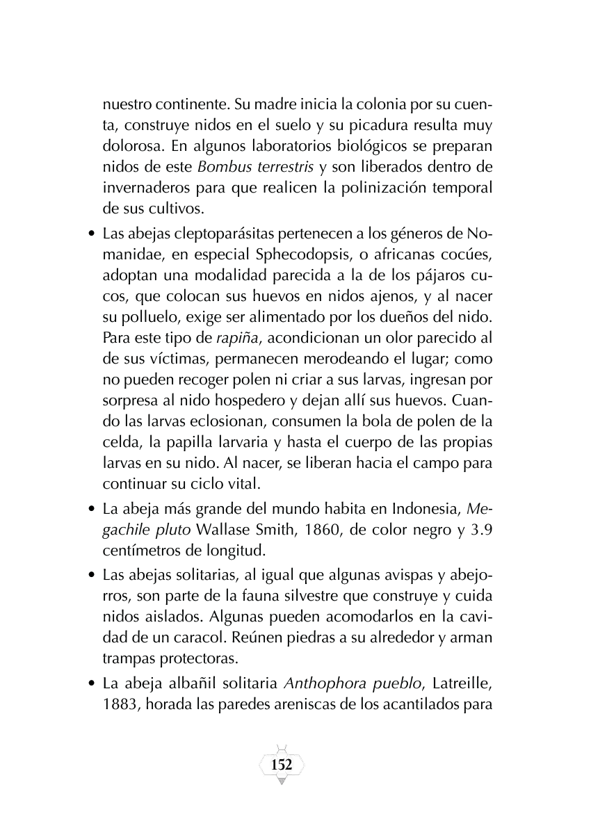 Rectangle