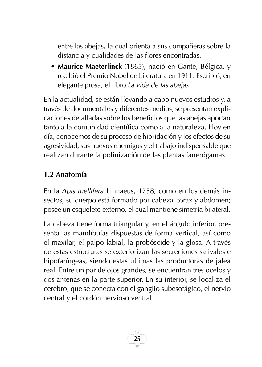 Rectangle