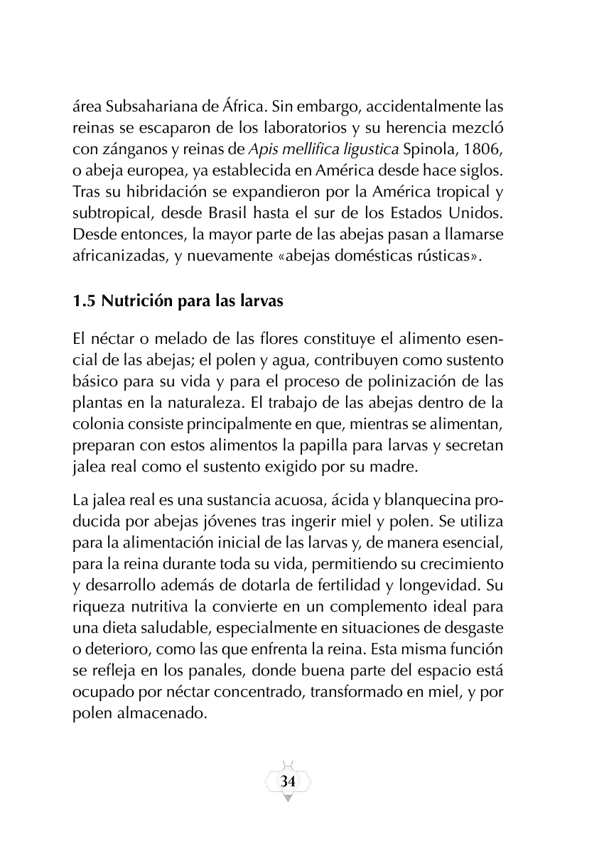 Rectangle