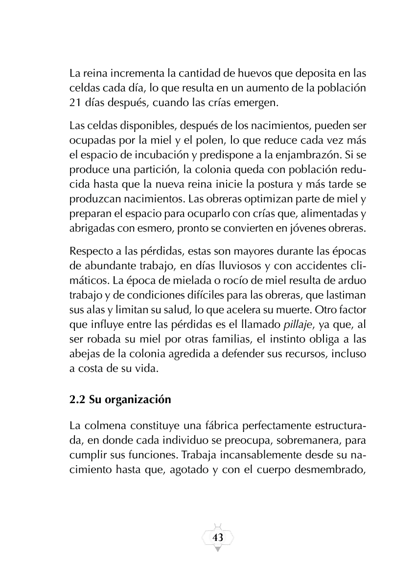 Rectangle