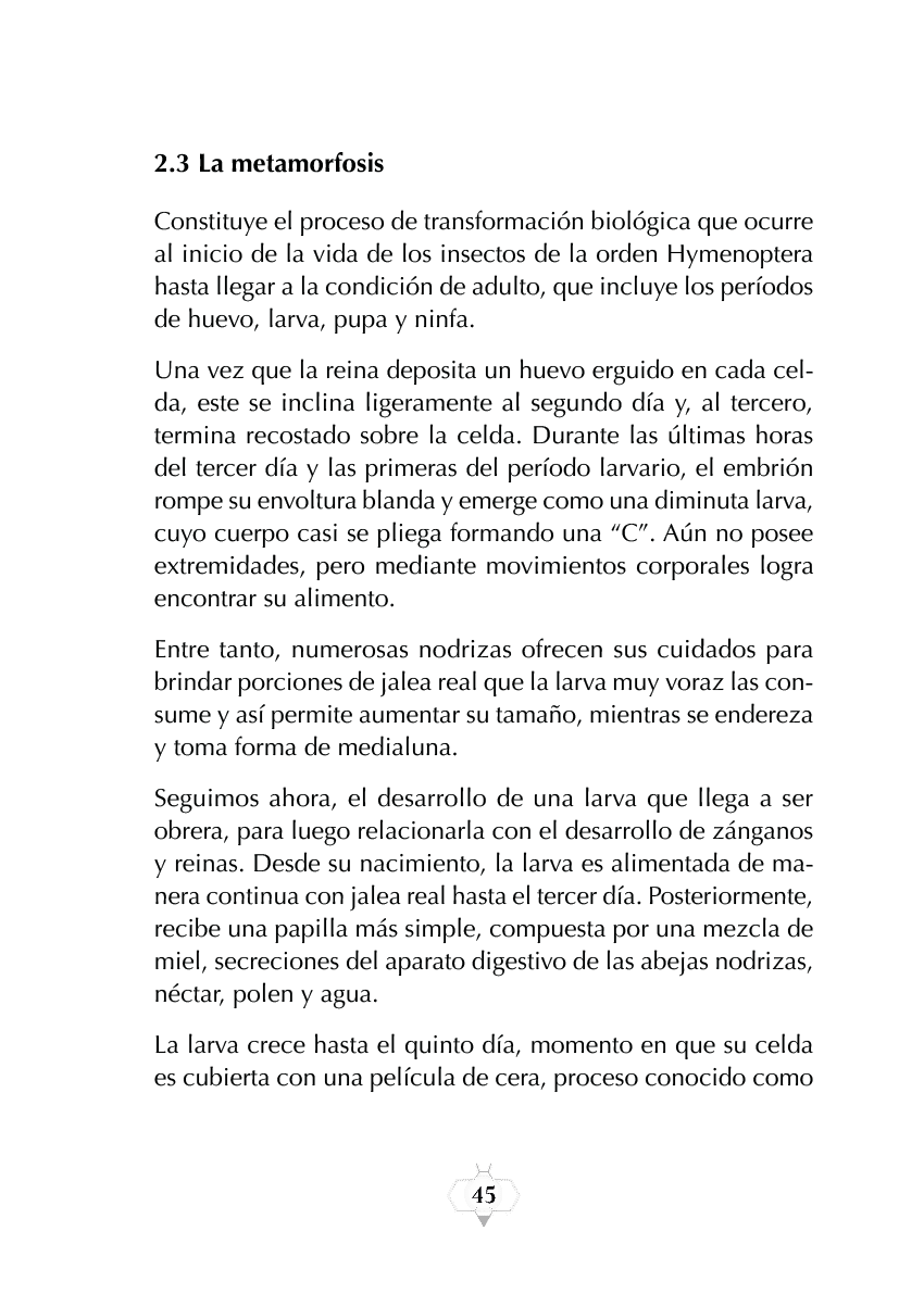 Rectangle