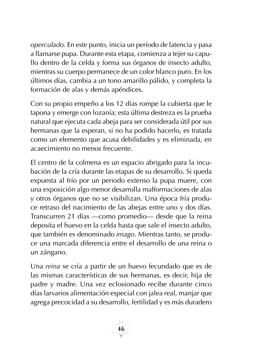 Rectangle