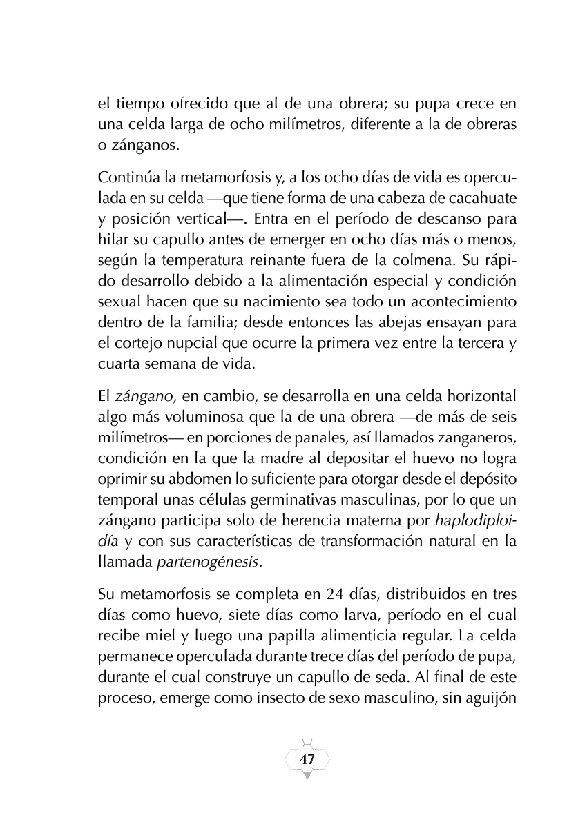 Rectangle