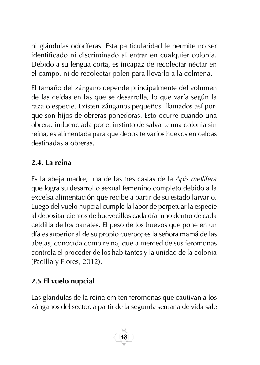 Rectangle