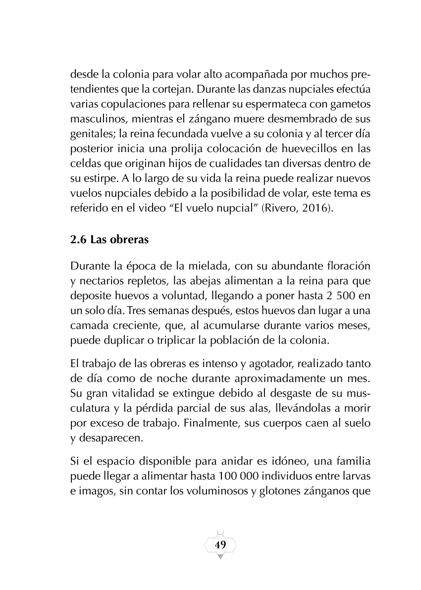 Rectangle