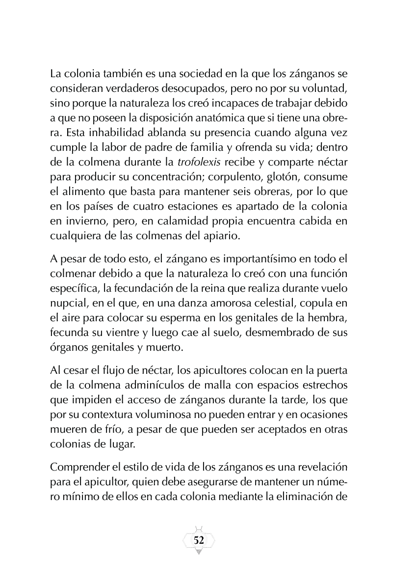 Rectangle