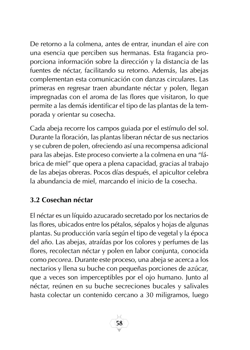 Rectangle