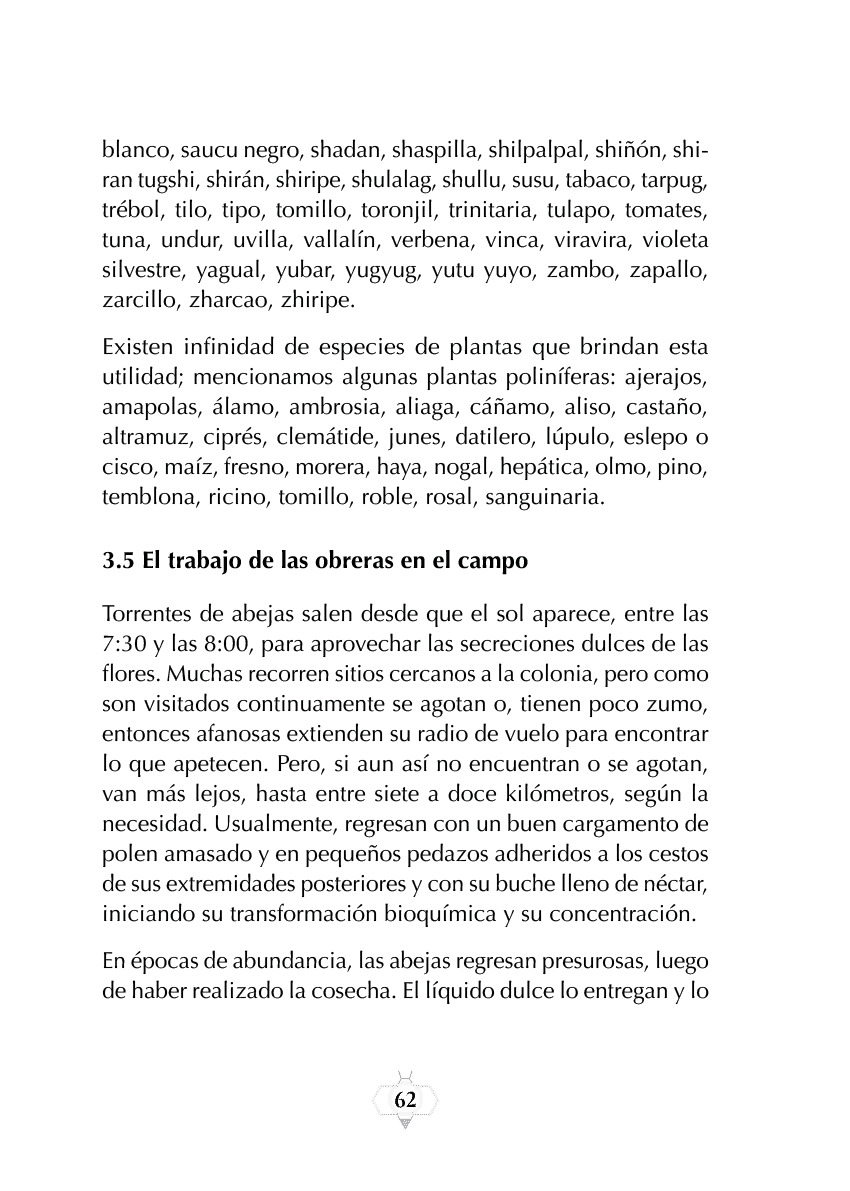 Rectangle