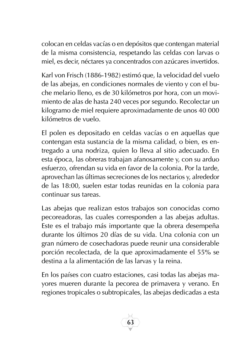 Rectangle
