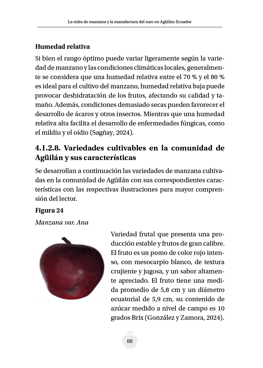 Rectangle