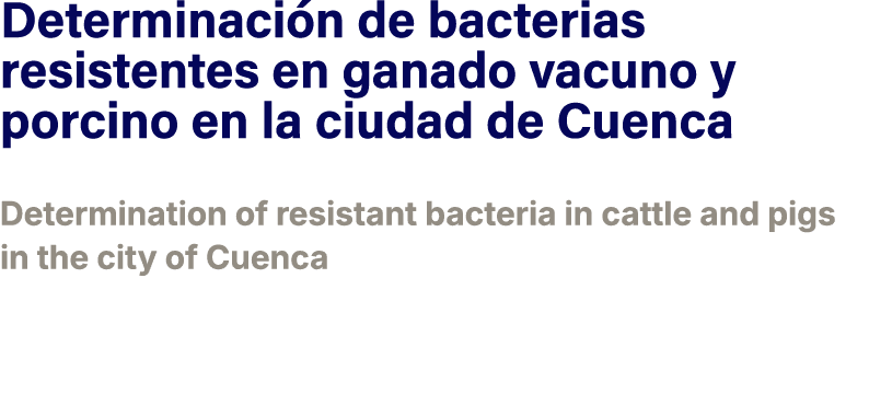 Determinaci n de bacterias resistentes en ganado vacuno y porcino en la ciudad de Cuenca ﻿Determination of resistant...