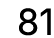 81