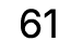 61