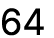 64