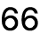 66