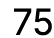 75